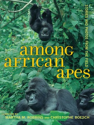 cover image of Among African Apes
